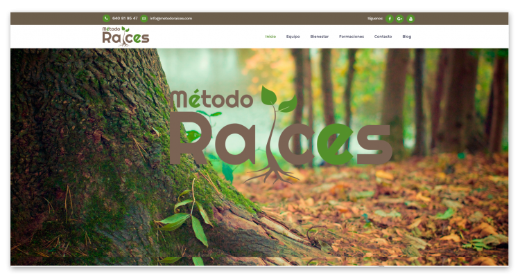 Diseño Web Método Raíces